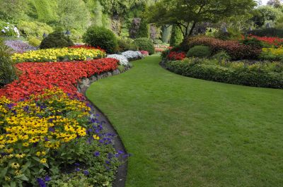 Commercial Landscape Service