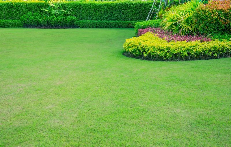 Lawn Border Installation