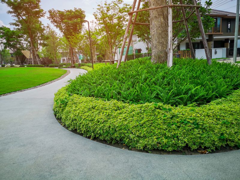 Lawn Border Installation