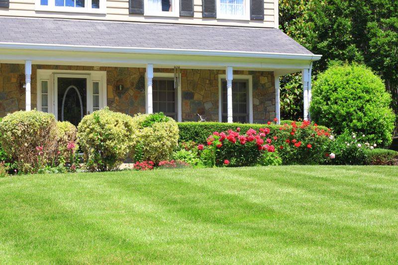 Lawn Landscaping
