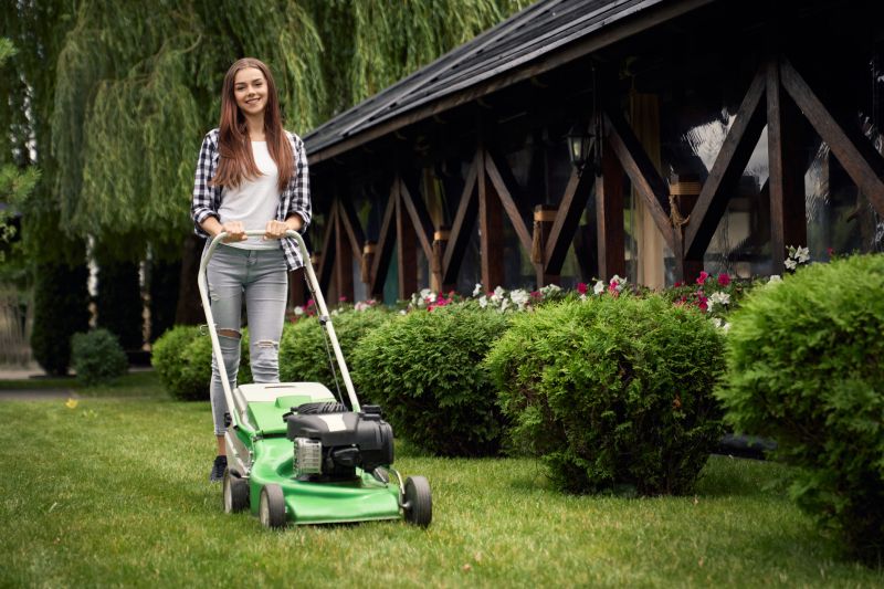 Lawn Repair Service
