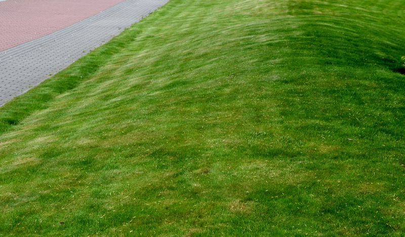 Lawn Repair Service