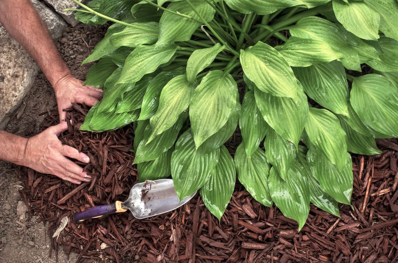 Mulch Spreading