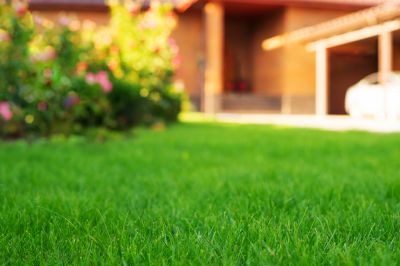 Residential Landscape Service