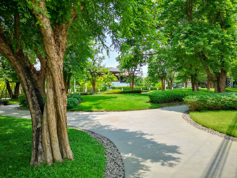 Tree Curbing Installation