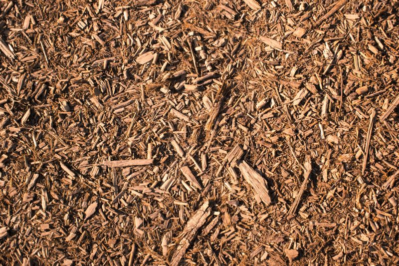 Wood Chips Delivery